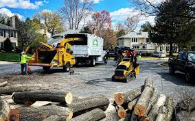 Best Tree and Shrub Care  in Fulton, NY