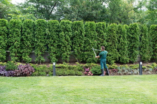 Soil Testing and Treatment in Fulton, NY